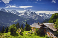 Steinbock jagen in sterreich