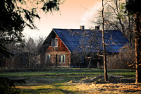 Auerhahn jagen in Lettland