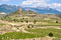 Steinbock jagen in Spanien