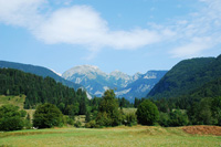 Steinbock jagen in Slowenien